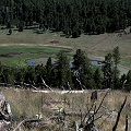Coconino County, a site where U. macrorhiza grows in a volcanic crater.