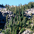 Siskiyou County, possibly the only P. macroceras subsp. macroceras in California.