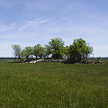 Modoc County, a site with several species.