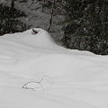 Nevada County, the Othello site, in deep snow.