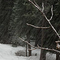 Nevada County, the Othello site, in deep snow.