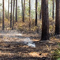 Columbia County, being burned.