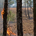 Columbia County, being burned.