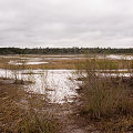 Karst habitat.