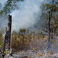 Columbia County, being burned.