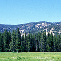 Idaho