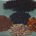Clay nodules, charcoal, Osmunda, and wood bark.