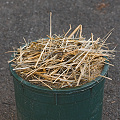 Burning litter over seeds encourges recalcitrant species to germinate.