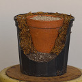 Slack-potting