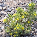 Inyo County, California.