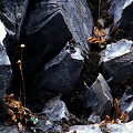 On a rock face.