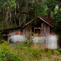 A spooky old house.