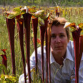 Beth with Sarracenia flava var. rubricopora.