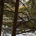 A well-maintained bridge on the Long Trail.