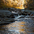 A river seen on a trip to see Sarracenia purpurea.