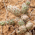 San Diego County, California