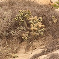 San Diego County, California