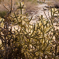 Riverside County, California