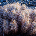 Riverside County, California