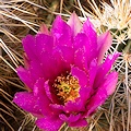 San Diego County, California