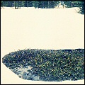 Nevada County, the Othello site, peering through the snow in midwinter.