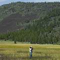 Lassen County, U. macrorhiza, with U. minor reported but not yet detected by me.