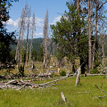 Plumas County, California.