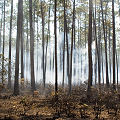 Columbia County, being burned.