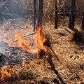 Columbia County, being burned.