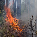 Columbia County, being burned.