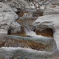 Wallowa County, tumbling waters that feed a Pinguicula site.