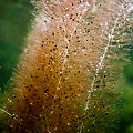 A view from underwater!
